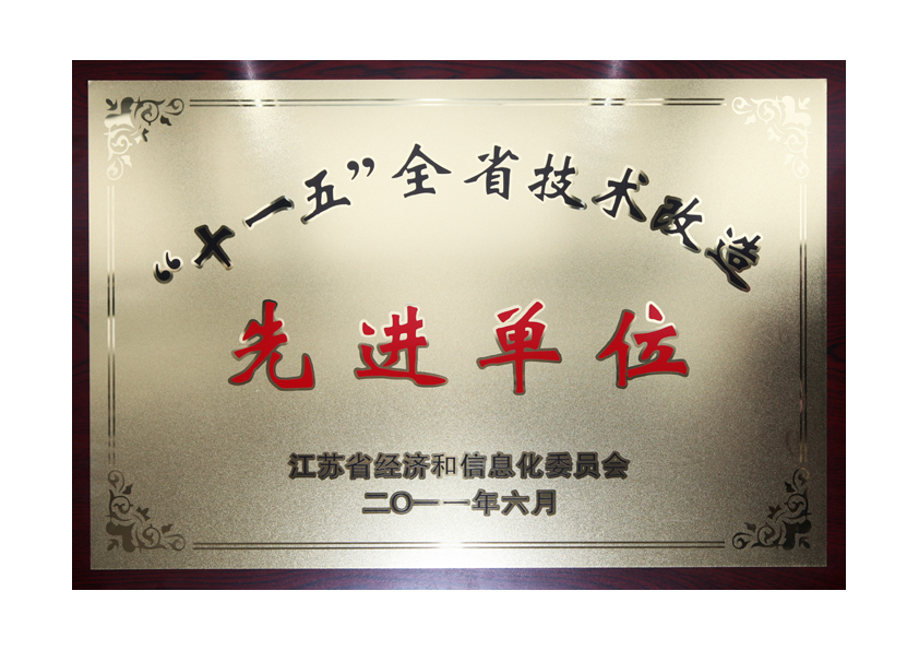 2011年中国化学纤维工业协会授予“十一五全省技术改造先进单位”