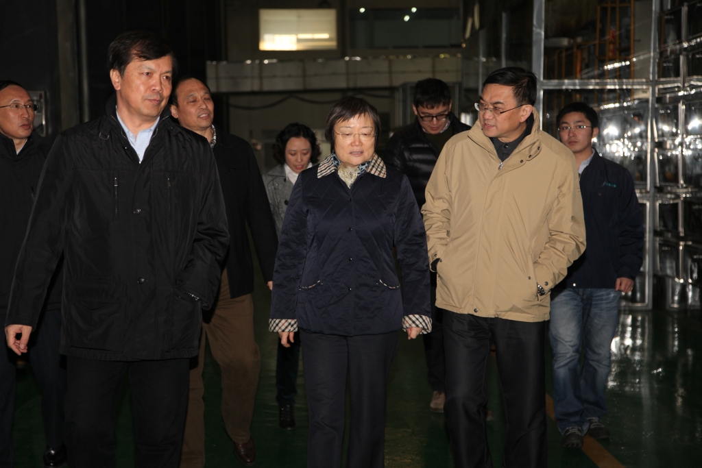 2013年11月27日，国家国防科工局军品配套司司长王欣、副司长郑鹏一行到中复神鹰调研碳纤维项目并进行工作指导。