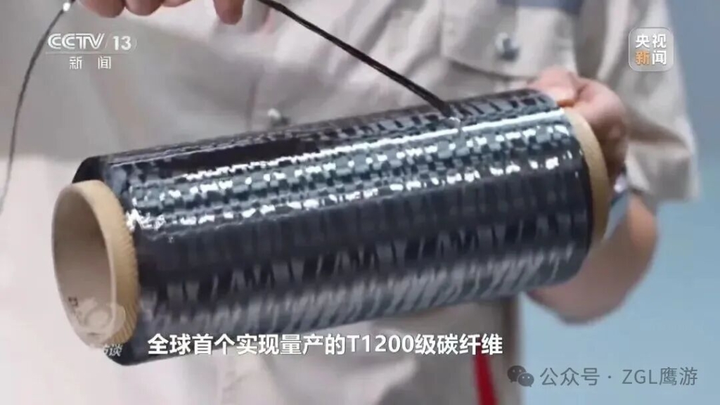 央视《焦点访谈》专题报道！解码这束“黑色黄金”的培育路径